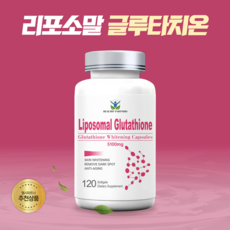 HEALTHY PARTNERS 리포소말 글루타치온 5100mg 120소프트젤 리포조말 효능 효과 리포좀