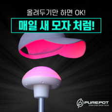 [퓨어팟 솔솔] 스마트 모자관리기 (PH01A) 살균 건조기 : 모자 가발 헬멧 전용, 퓨어팟 솔솔 WIG+