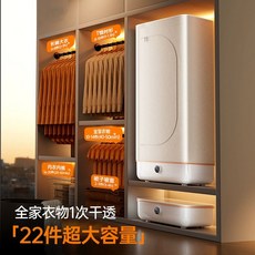 의류관리기 미니 스타일러 에어드레서 건조기 소형 원룸 빈대제거 투룸, 22매초대형온가족의류1회건조재질가리지않고건조가능