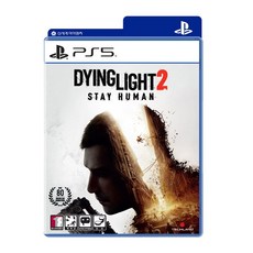 스팀다잉라이트2