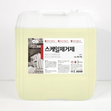 세제몰 스케일제거제 업소용 식기세척기 녹 물때제거 19L, 1개
