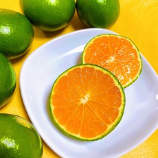 [역대최대할인가] 제주최고급 프리미엄 청귤 풋귤, 1개, 5kg