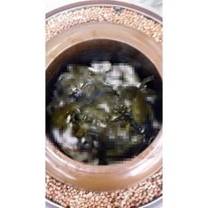 진한개구리즙(30포), 1개, 3L