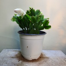 0046a30d4842bd95fb7f44af0169e8d23b6c1b98c7bd6d6adb915f2dd651.jpg