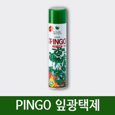 고든마감재(유광)500g