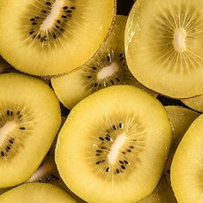 냉동 제주 골드키위 600g x 5팩, 5개