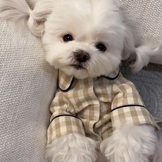 파자마체크커플추천