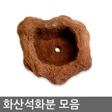 중국 화산석화분 (1~9호) 천연석화분 돌화분 자연석화분 다육이화분 / 종류선택 : 6호 (리어화분 추천)