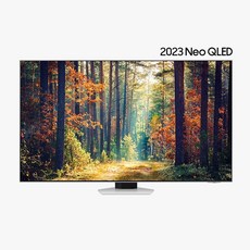 삼성 TV 벽걸이형 KQ65QNC85AFXKR