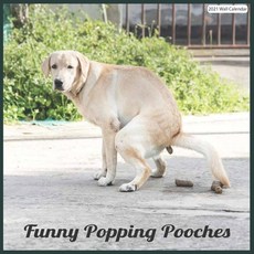 Funny Popping Pooches 2021 Wall Calendar: Official Popping Dogs Wall Calendar 2021 Paperback, Independently Published, English, 9798577095086