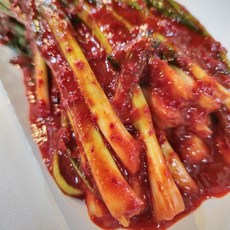 [반찬연구소]혁명 파김치 끝판 왕! 알싸한 맛 매콤한 맛 전라도식 손맛 출시기념, 1개, 1kg