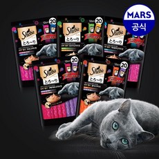 마스캣로봇
