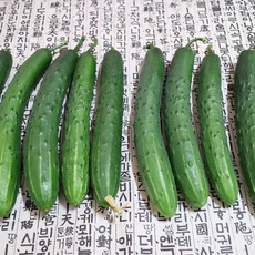 베로나인러브