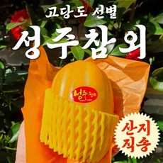 꿀담은 명품 성주참외 5kg 10kg 참외, 사이즈 랜덤 5kg