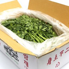국내산 특품 이태리파슬리 한박스 2kg 이탈리안파슬리 향나물, 이탈리안파슬리 1박스(2kg내외), 1개
