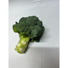 프래시그린] 양채류 국내산 브로콜리 특품 4 kg, 4kg