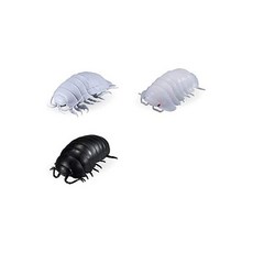 (해외) 단고무시 05 쥐며느리 공벌레 등각류 바티노무스 3종 피규어