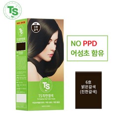 TS 티에스 착한염색 새치커버 염모제, 6호-진한갈색, 1개