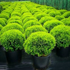 a3ede3d2bfd108fa537694e46855f39402082fb513e9936b722bf578786e.jpg