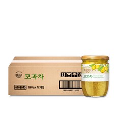 복음자리 유자차620g 1박스(12입), 12개