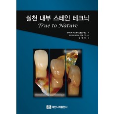 실천 내부 스테인 테크닉, 대한나래출판사