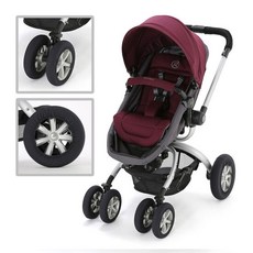 스핀로얄인펀트