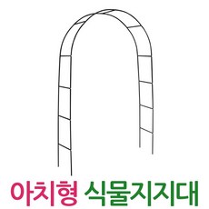 아치형