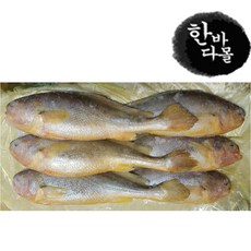 한바다몰 부세조기 조기 부세6미 3.4kg 생선구이 구이 조기매운탕, 부세조기(6미), 1개