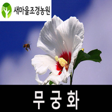 278fd8251b4be133fc44ea4d7fec7635de6d1bc9b0f81225c19eac64c9cc.png