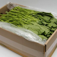 국내산 특품 아욱 반박스 2kg 나물 아욱국 가락시장 당일새벽경매, 아욱 반박스(2kg내외), 1개