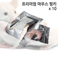 웰컴펫 G-FARM 프리미엄 냉동 마우스 핑키 (M) 10마리