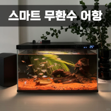 키노 무환수 자동청...