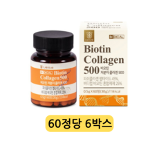 비디컬 비오틴 저분자 피쉬 콜라겐 500 펩타이드 엘라스틴 캡슐 영양제, 6정, 60개
