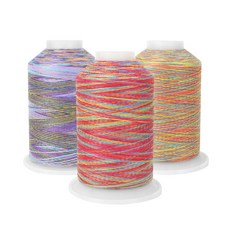 60수아사요세트