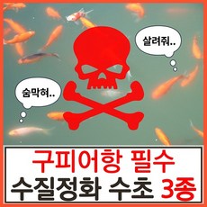 수초하우스)구피어항 필수 수질정화 수초 3종 세트(고정구피 막구피 치어 알풀 알비노풀레드 애완 물고기 백탁 환수 물잡이 물갈이 수질개선), 1세트(총15줄기)