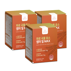 웰빙곳간 파로 곡물 효소 엠머밀 MAX 30포, 3개, 90g