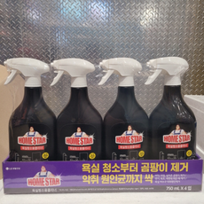 HOMESTAR 홈스타 뿌리는 곰팡이 싹 욕실용 750ml X 4PK 코스트코, 20개