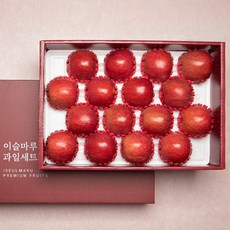프리미엄 고당도 사과 선물세트 설 추석 경북 부사 홍로 과일 선물용 3kg 4kg 5kg, 유명산지 사과선물세트, 5kg / 15~17입