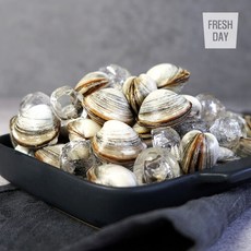 [단골농장] 서해안 고창 갯벌 해감된 동죽 조개 물총조개, 5kg, 1개