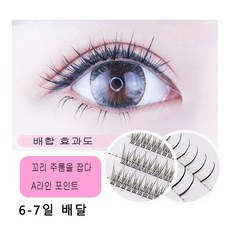 에스몰가닥속눈썹