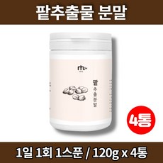 뉴만키네올로지