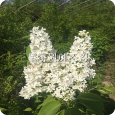 62de2e015d1a023bfa05d9e06f9a8fc53fc8f5b9d540ce8fbc6fdabd26e5.jpg