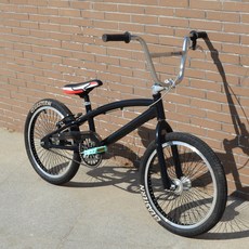 입문용 bmx 샵 익스트림 묘기자전거 비엠엑스 프리미엄 고급형 20인치, L