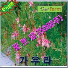 9b42053722c450eb2b1a5ac12b40d2c39f635a0c60c855fd01db3b766312.jpg