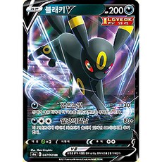 페이유브이로그포켓2