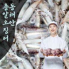 싱싱손질통오징어
