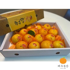 예수농산 3kg 효돈 황금향(특품), 1박스