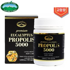 Natures Top EUCALYPTUS PROPOLIS 네이쳐스탑 호주 프리미엄 유칼립투스 프로폴리스 5000mg 120캡슐, 1개, 120정