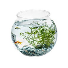 [초록끈] 아마존 투명플라스틱어항 (소) 11x17x16.5cm YG-175, 1개, 투명색