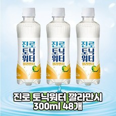 토닉워터레몬
